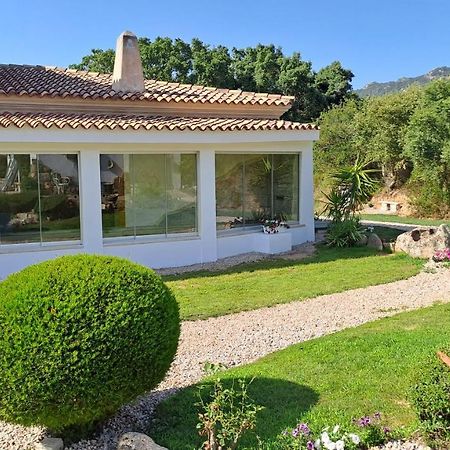 B&B La Chintina Sant'Antonio di Gallura Εξωτερικό φωτογραφία