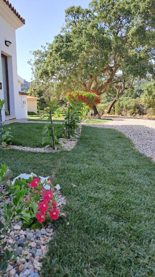 B&B La Chintina Sant'Antonio di Gallura Εξωτερικό φωτογραφία
