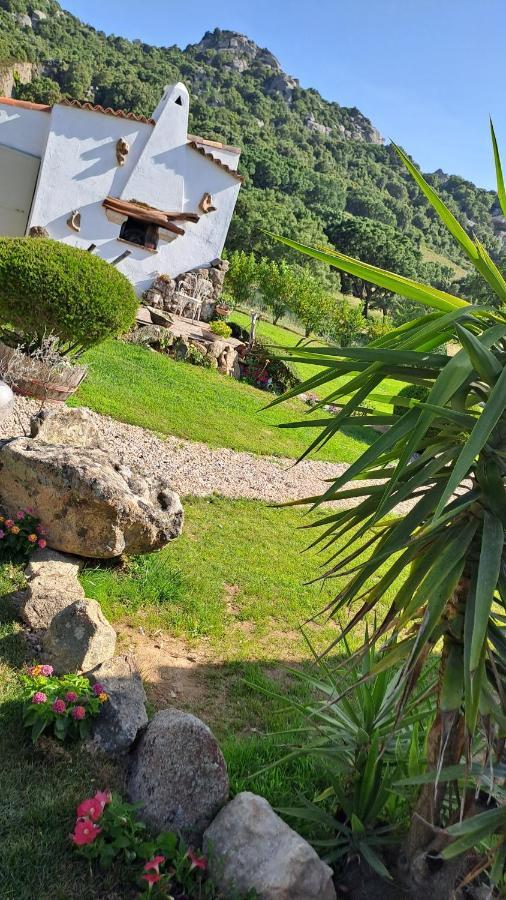 B&B La Chintina Sant'Antonio di Gallura Εξωτερικό φωτογραφία